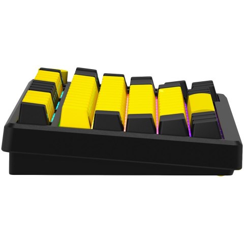 LORGAR Gaming Keyboard KBA4175 Advanced Wired 75% Yellow EN