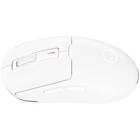 LORGAR Gaming Mouse MSA10WR Advanced Wireless PixArt 3311 White