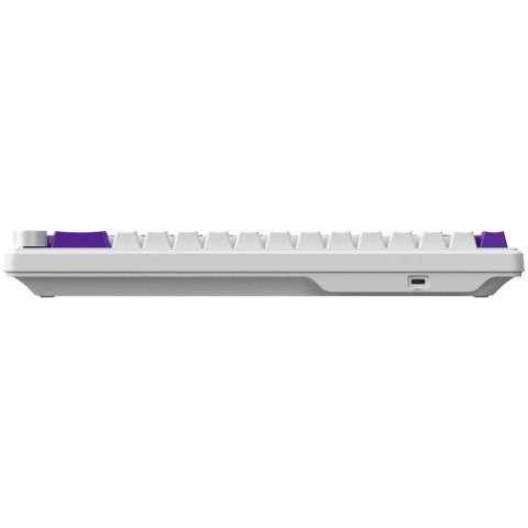 LORGAR Gaming Keyboard KBA41M Advanced Wired 65% White EN