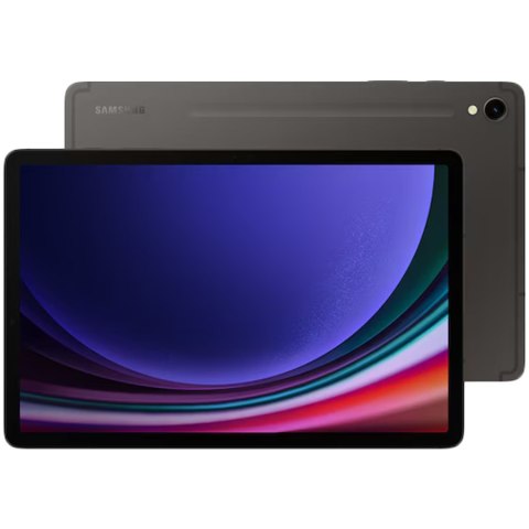 SAMSUNG Galaxy Tab S9 12/256GB Szary 5G