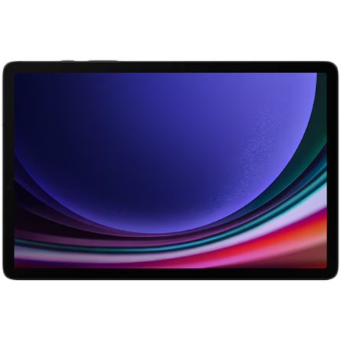 SAMSUNG Galaxy Tab S9 12/256GB Szary 5G