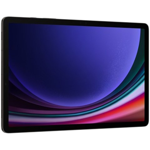 SAMSUNG Galaxy Tab S9 12/256GB Szary 5G