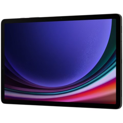 SAMSUNG Galaxy Tab S9 12/256GB Szary 5G