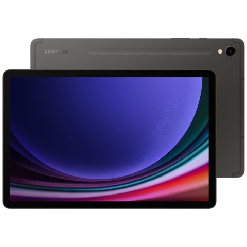SAMSUNG Galaxy Tab S9 8_128GB Gray
