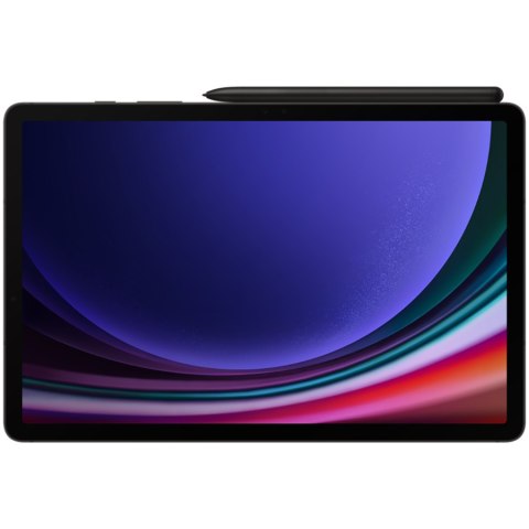 SAMSUNG Galaxy Tab S9 8_128GB Gray