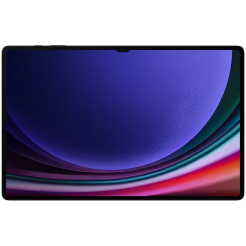 SAMSUNG Galaxy Tab S9 Ultra 12+256GB Gray